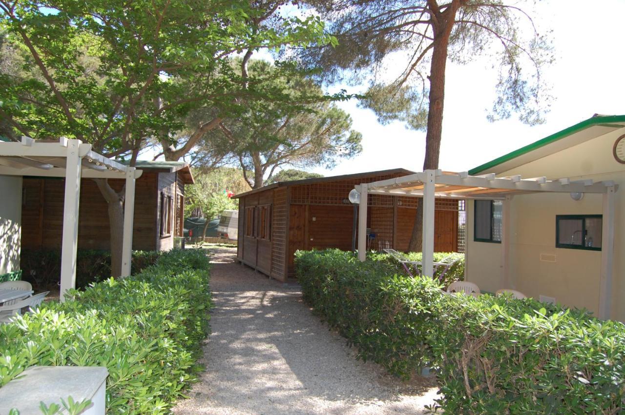 Campsite Feniglia *
